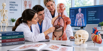 Why Hands-On Anatomy Learning Still Matters in the Digital Age
