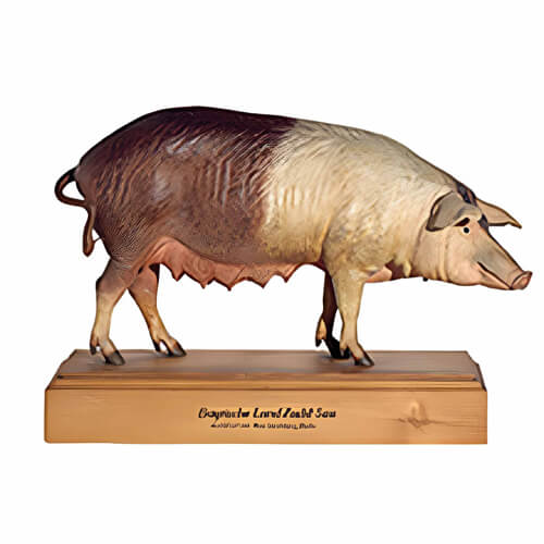 Professional Training Models