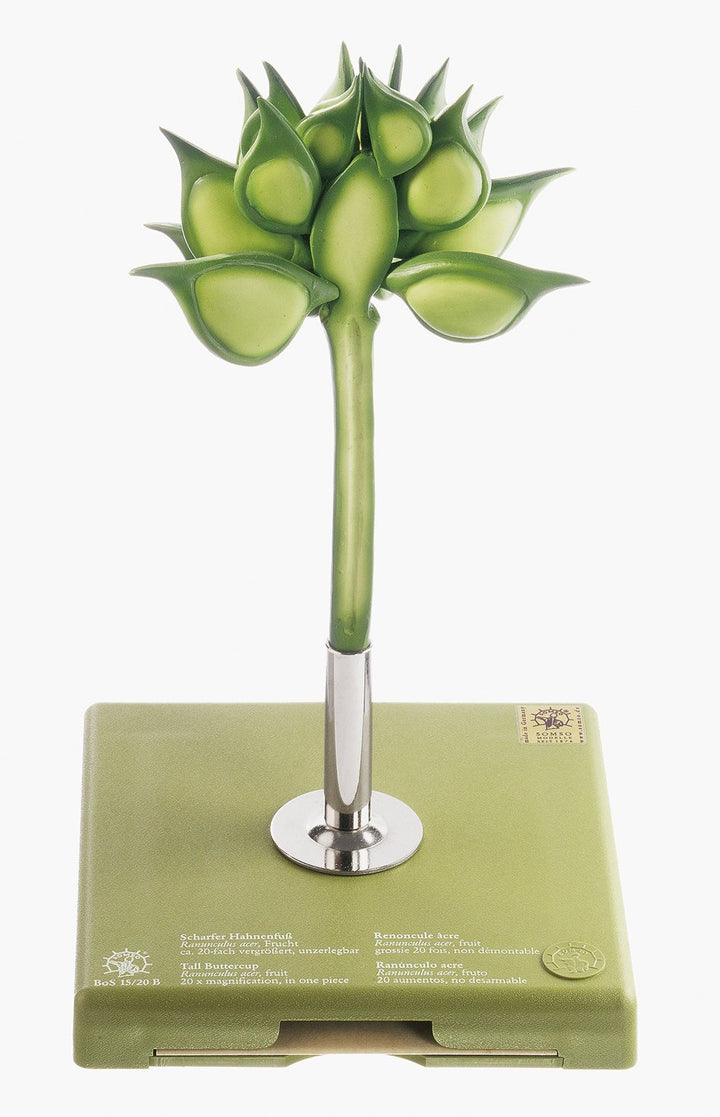 SOMSO Buttercup, Fruit