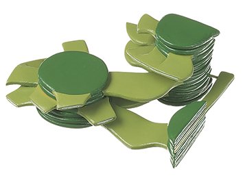 SOMSO Chloroplast of Higher Plant