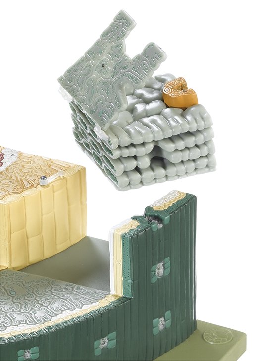 SOMSO Needle Leaf of the Austrian pine