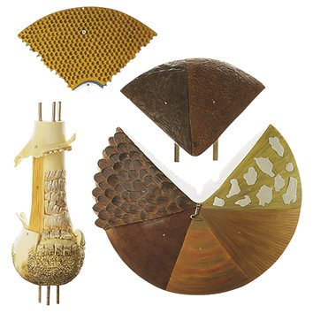 SOMSO Structure of Hat Fungi