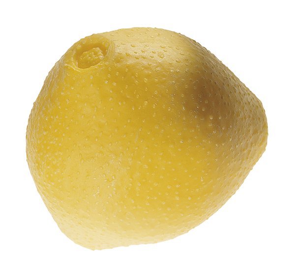 SOMSO Model of Hazelnut Pollen Grain