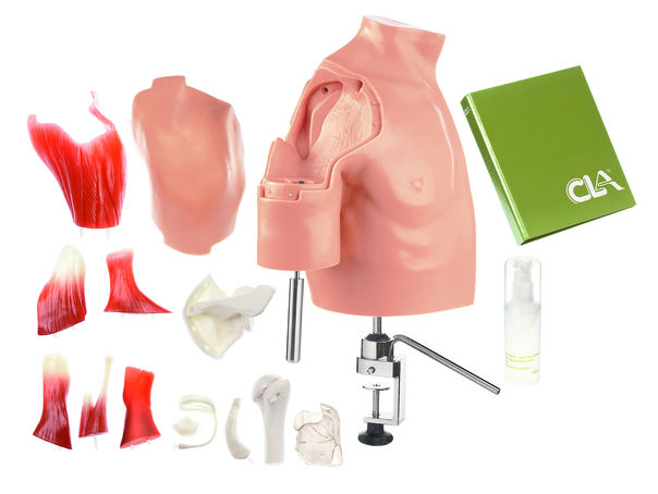 SOMSO CLA-Arthroscopy Model of Shoulder Joint