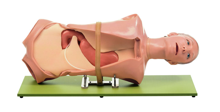 SOMSO CLA-OGI Phantom