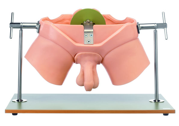 SOMSO CLA-Urological Practise Phantom