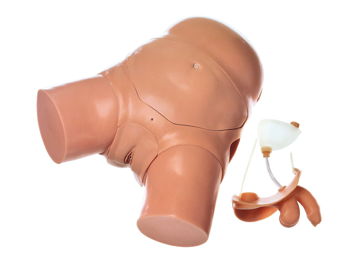 SOMSO CLA-Catheterizing-Model