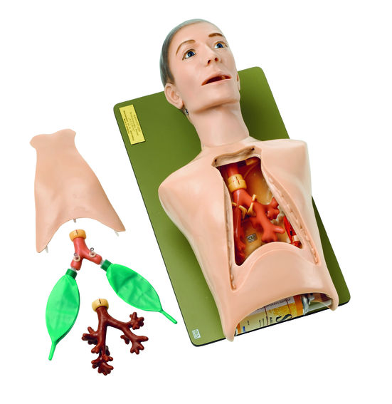 SOMSO CLA-SCOPIN-Broncho-Boy II