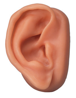 3B Acupuncture Ear-Right