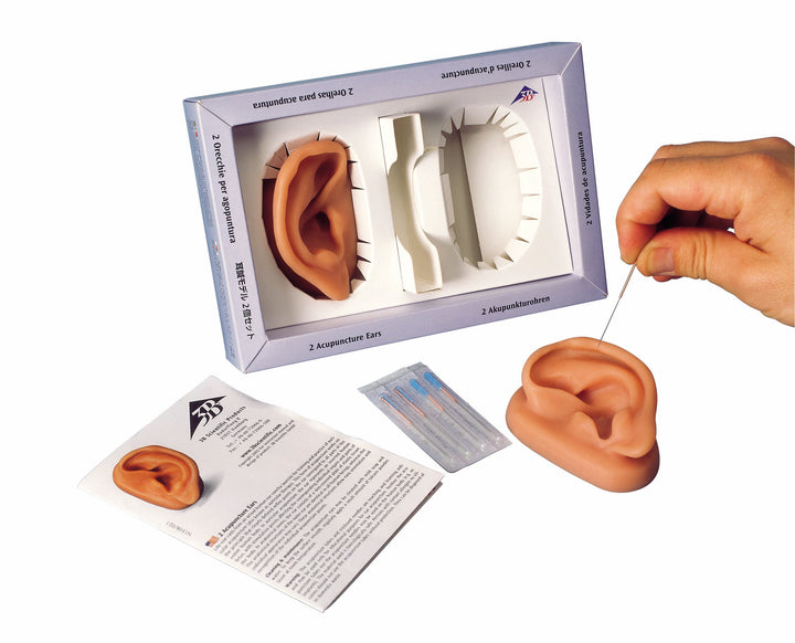 3B Acupuncture Ears-Two
