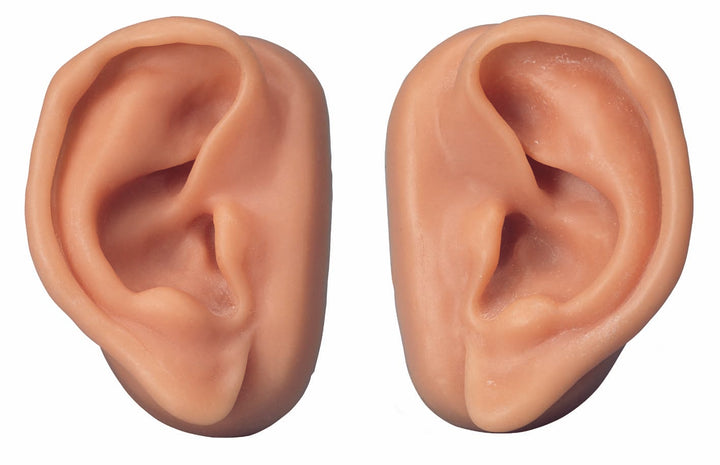 3B Acupuncture Ear set for 10 students