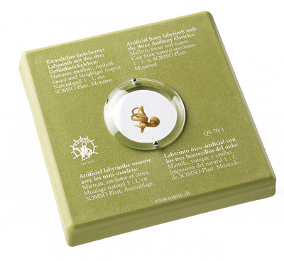 Artificial Bone Models