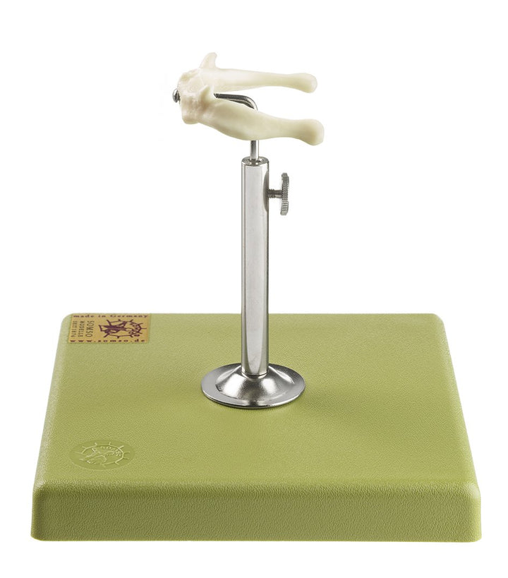 SOMSO Artificial Hyoid Bone