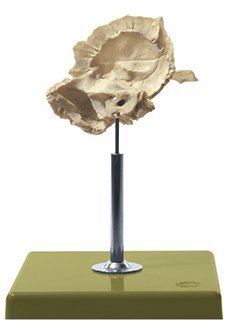 SOMSO Artificial Temporal Bone