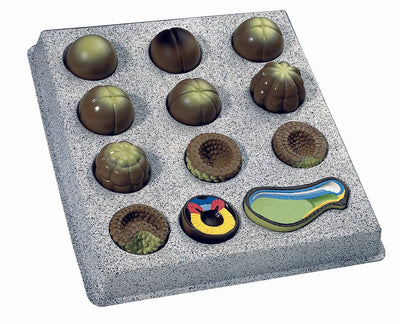 Amphibians and Reptiles