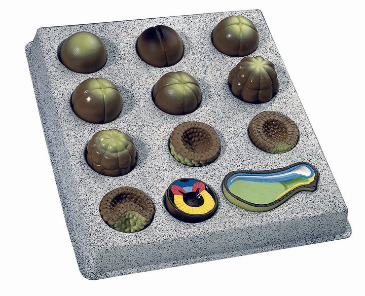 3B Embryo Development 12 stages 12-part