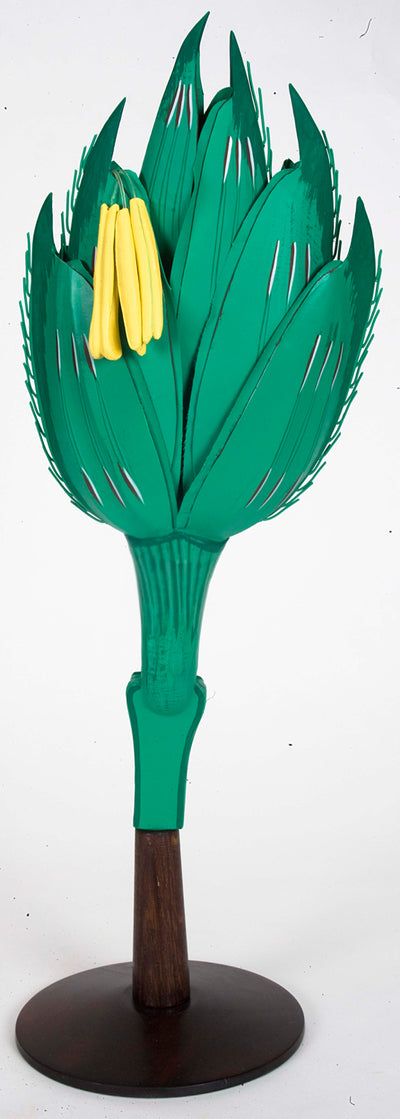 Monocotyledonous Plant Models