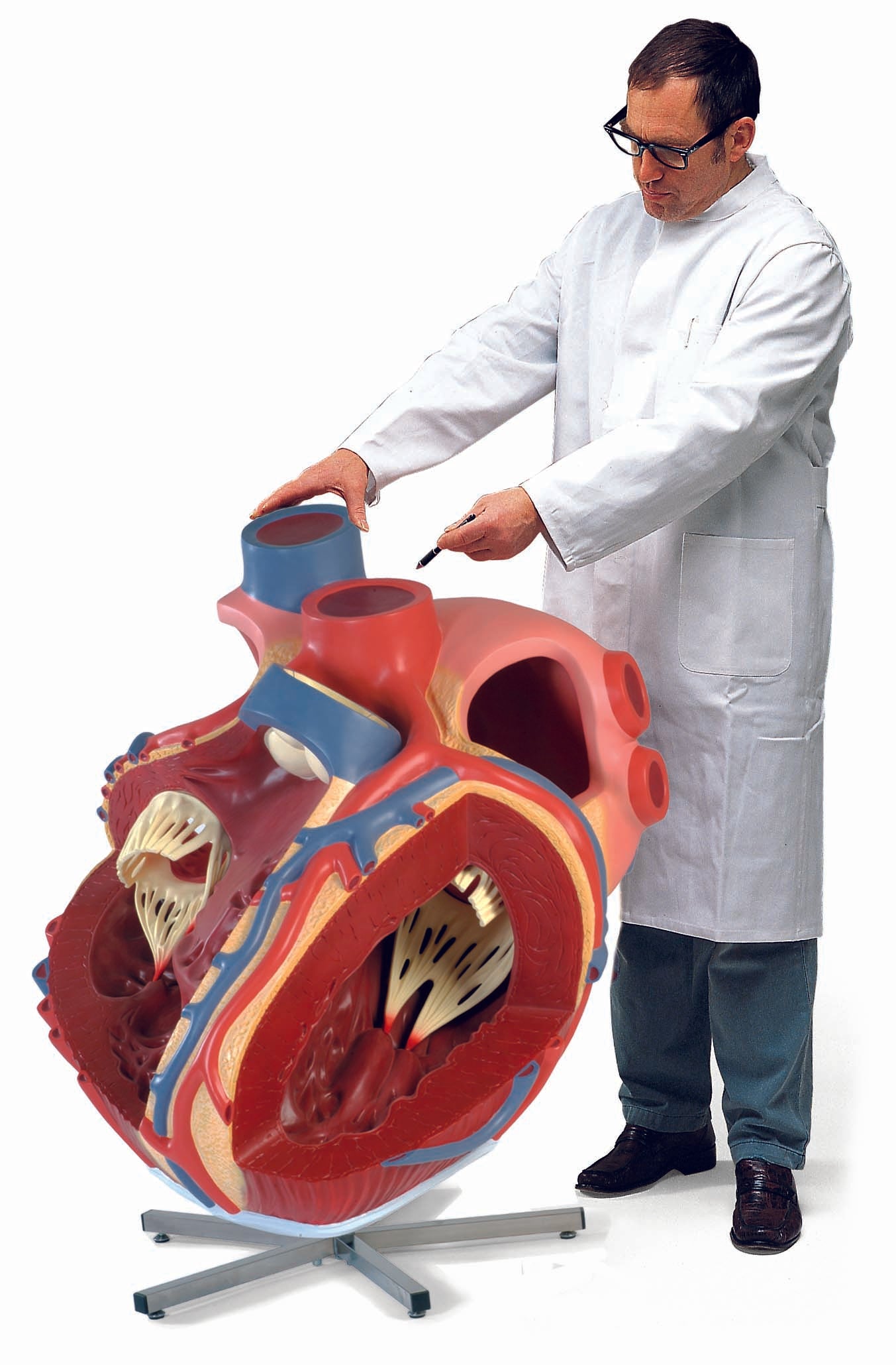 3B World's Largest Heart Giant Heart 8 Times Life-Size