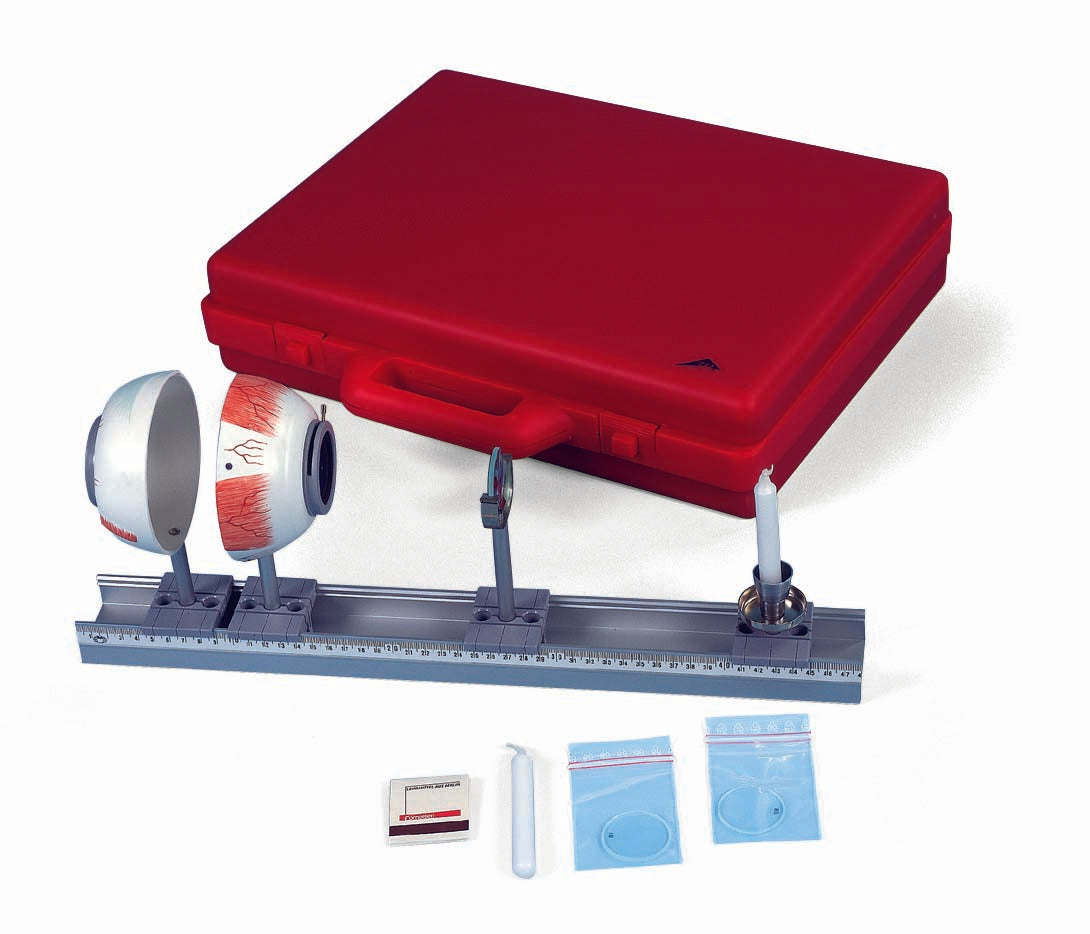 3B Physical eye model