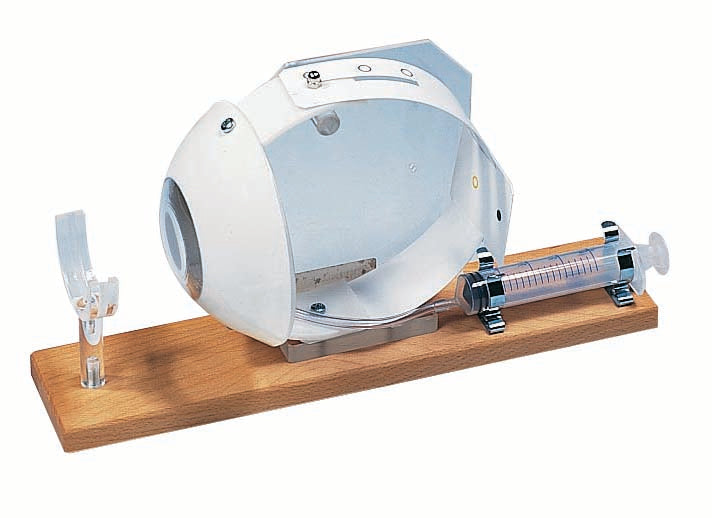 3B Budget Functional Eye