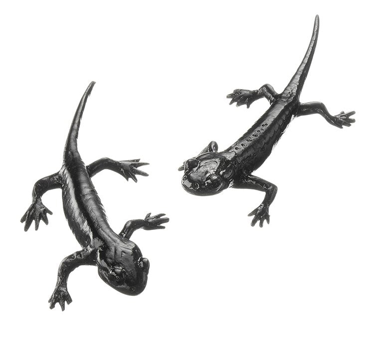 SOMSO Alpine salamander, 2 young specimens