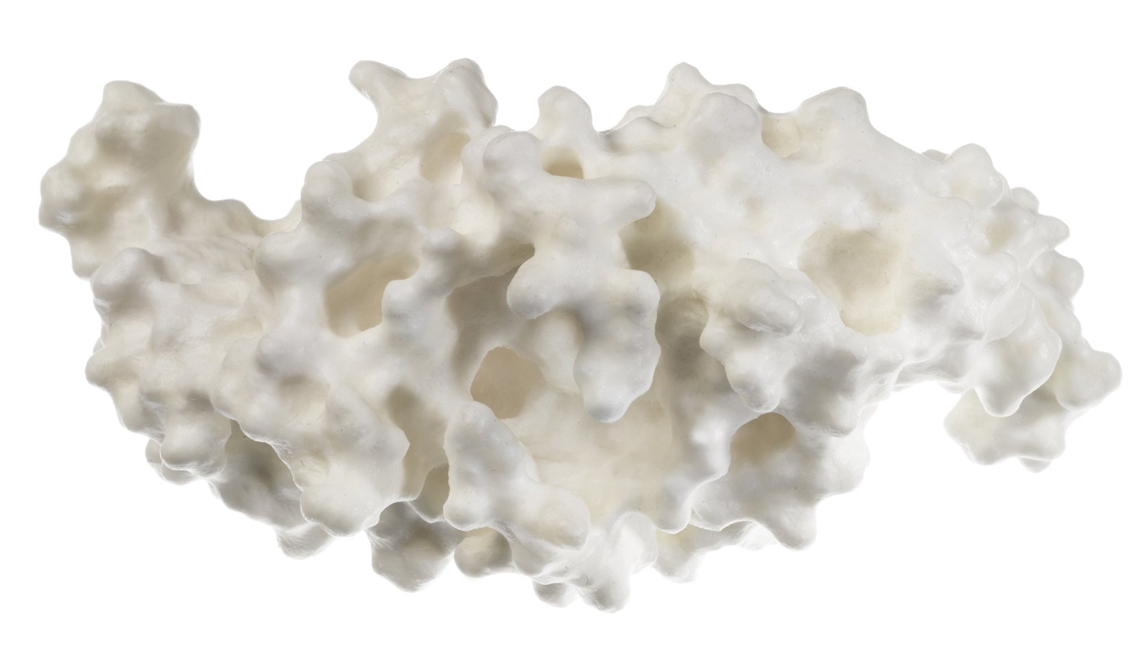 SOMSO Protein Model (human bone Morphogenetic protein BMP-2)